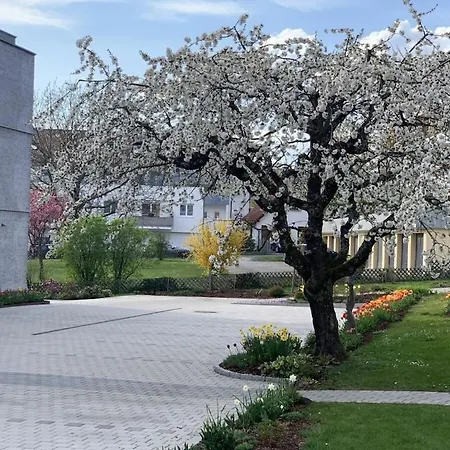 Trilogie-mulbeere * Stetten (Bodensee)